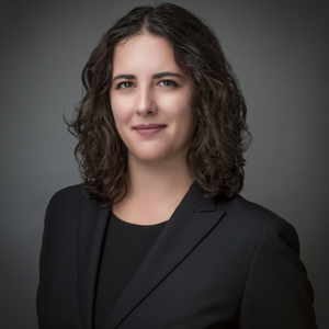 Aleksandra Pressey (Lawyer & Workplace Investigator at Williams HR Law LLP)